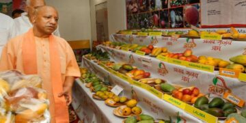 CM Yogi will inaugurate the Mango Festival