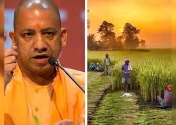 The Yogi government reassured the farmers.