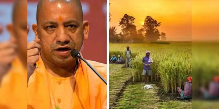 The Yogi government reassured the farmers.