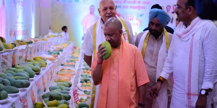 CM Yogi
