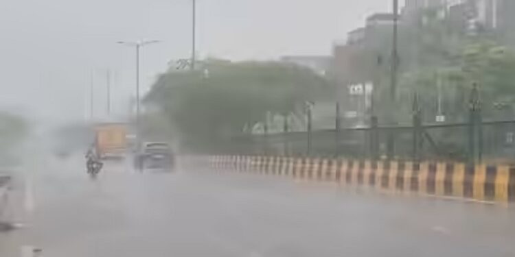 Delhi Rain