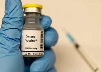 Dengue Vaccine