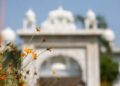 125-year-old Gurdwara demolished in Pakistan