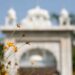 125-year-old Gurdwara demolished in Pakistan