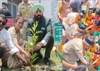 Uttarakhand is painted in the color of greenery on Harela festival