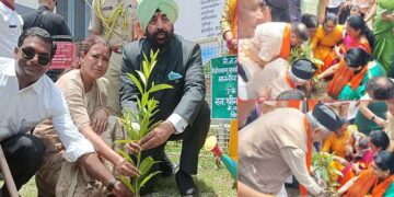 Uttarakhand is painted in the color of greenery on Harela festival