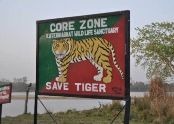 Katarniaghat