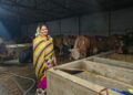 Nandini Yojana changed the life of Shakuntala Devi