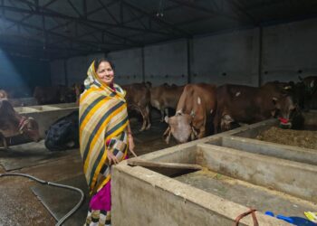 Nandini Yojana changed the life of Shakuntala Devi