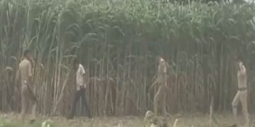 Two criminals killed in Shikohabad encounter