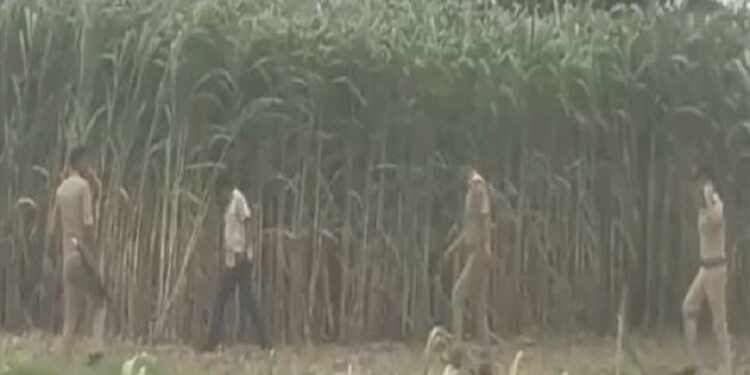 Two criminals killed in Shikohabad encounter
