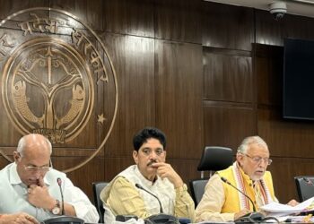 Yogi Cabinet