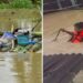Assam Flood