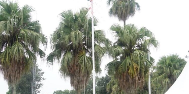 CM Dhami hoisted the Tricolour at the Chief Minister's residence.
