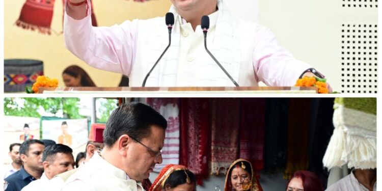 CM Dhami