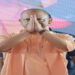 CM Yogi