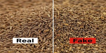 Cumin Seeds