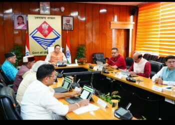 Dhami Cabinet