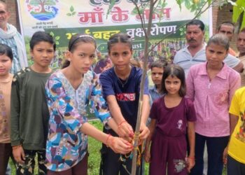 More than one lakh saplings planted on Rakshabandhan