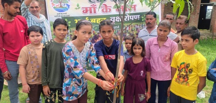 More than one lakh saplings planted on Rakshabandhan