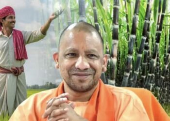 Farmers benefit directly from the Yogi government's export policy.
