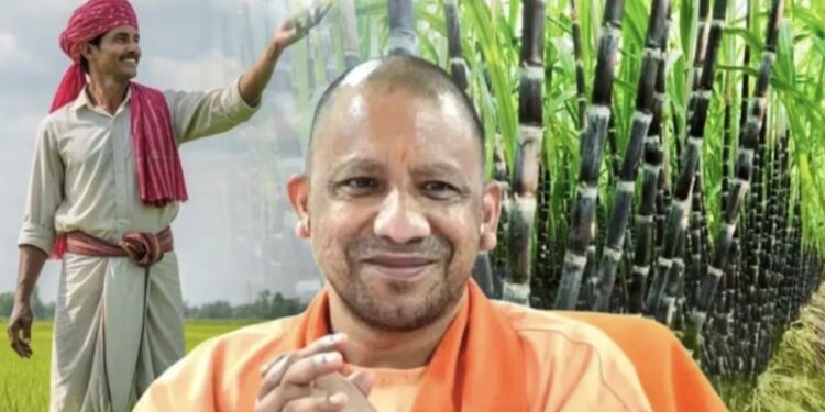 Farmers benefit directly from the Yogi government's export policy.