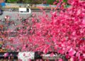 Flowers were showered on Kanwar pilgrims from a helicopter.