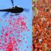 Kanwar Yatra