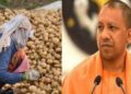 Portal launched for potato farmers