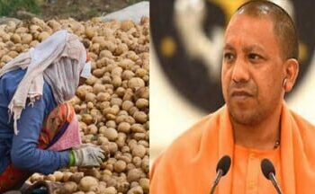 Portal launched for potato farmers