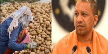 Portal launched for potato farmers