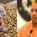 Portal launched for potato farmers