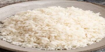 Rice