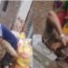 Police team attacked while arriving to remove illegal dairy