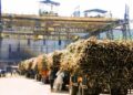 Sugarcane will reach sugar mills on time.