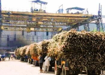 Sugarcane will reach sugar mills on time.