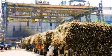 Sugarcane will reach sugar mills on time.