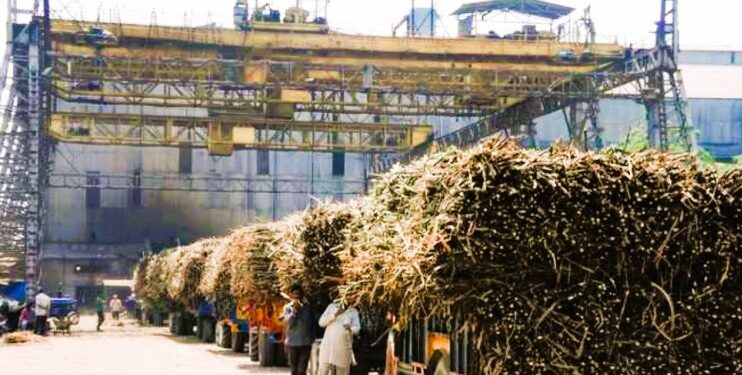 Sugarcane will reach sugar mills on time.