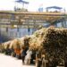 sugar mills