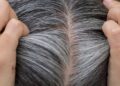 White Hair