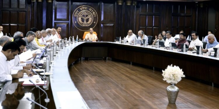 Yogi Cabinet