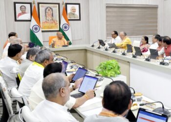 Yogi Cabinet