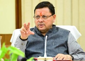 CM Dhami