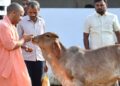 CM Yogi