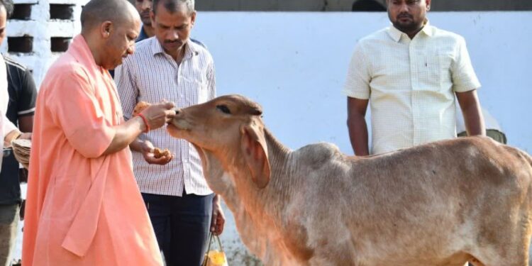 CM Yogi