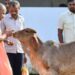 CM Yogi