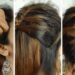 French Hairstyle