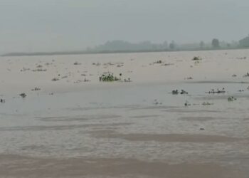 Ganga water level rises again in Kanpur.