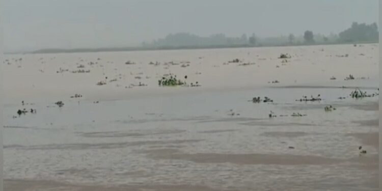 Ganga water level rises again in Kanpur.