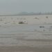 Ganga water level rises again in Kanpur.